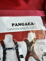 ★未使用★TITAN タイタン フルハーネス PANGAEA CANYON-WMLTD-BLSC 100kg Lサイズ 腿V型 ワークマン限定カラー　_画像2