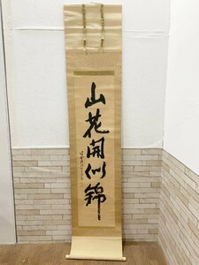 大徳寺 立花大亀「山花開似錦」　掛け軸　掛軸　肉筆　真作　在銘　印有　共箱　美術品　古美術　書画 一行書き