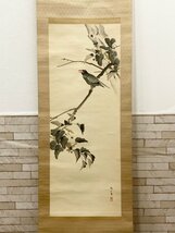 大崎晴山「菩提樹佛法僧図」掛け軸 掛軸 花鳥画 日本画 肉筆 真作 在銘 印有 箱有 美術品 古美術 骨董品_画像1