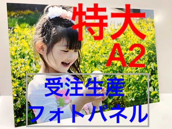 【受注生産/特大A2サイズ】まるで写真館のようなフォトパネル【ギフトにも】(片側印刷)