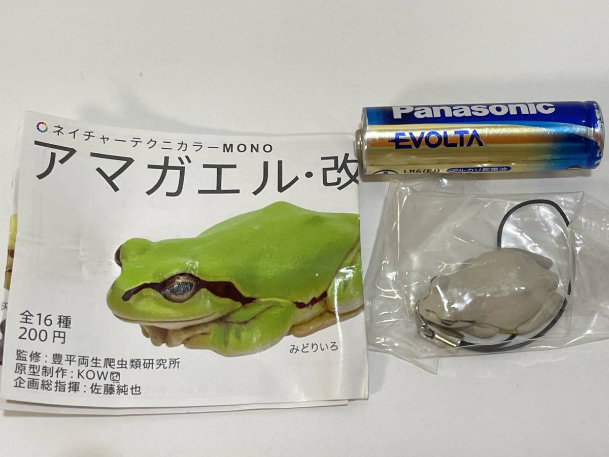 福袋 オンライン 2025年最新】Yahoo!オークション マグネットの中古 -アマガエル 生き物