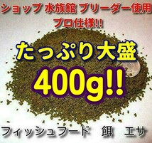 熱帯魚 餌400g! プロ仕様 たっぷり大盛 ショップ水族館 使用 エサ 飼料 フィッシュフード 飼料 観賞魚 食い付き抜群! エサ ブリーダー推奨_画像3