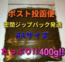 b新販売 400g! 大粒 たっぷり大盛 プロ仕様! らんちゅう 金魚 餌 エサ 飼料 ショップブリーダー使用 フィッシュフード 江戸錦 丹頂 淡水魚_画像5