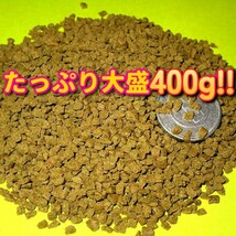 新販売! 400g!! 大粒 餌 たっぷりお徳用高栄養価フード プロ仕様!! ショップ ブリーダー 熱帯魚 観賞魚 プレコ ディスカス シクリッド エサ_画像4