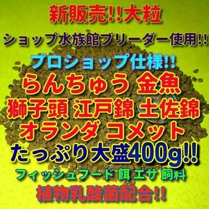 1新販売 大粒 たっぷり大盛 400g!! プロ仕様! らんちゅう 金魚 餌 エサ 飼料 ショップブリーダー使用 フィッシュフード 江戸錦 丹頂 淡水魚