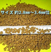 z新販売 大粒 たっぷり大盛 400g!! プロ仕様! らんちゅう 金魚 餌 エサ 飼料 ショップブリーダー使用 フィッシュフード 江戸錦 丹頂 淡水魚_画像2