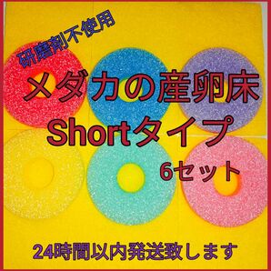 メダカの産卵床Shortタイプ6セット