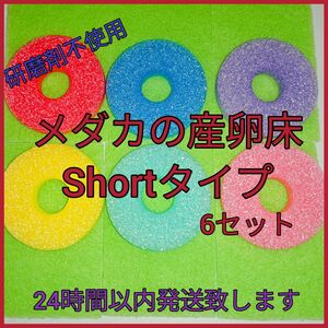 メダカの産卵床6Shortタイプセット