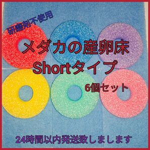 メダカの産卵床Shortタイプ6セット