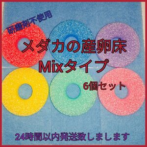 メダカの産卵床Mixタイプ6セット