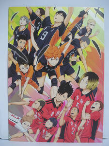 [ pamphlet ] Haikyu!!!! *.... beginning ~ [h15581]