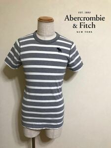 【良品】 Abercrombie & Fitch アバクロンビー&フィッチ アイコン ボーダー クルーネック Tシャツ サイズL 185/104Y 半袖 白 グレー