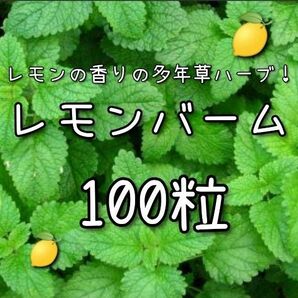 【レモンバームのタネ】100粒 種子 種 ハーブ