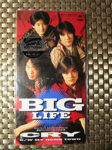 激レア!!BIG LIFE CD「CRY」CDシングル/CDS/ストリートファイターII