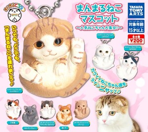 即決》まんまるどうぶつ まんまるねこマスコット 人気ねこちゃん大集合!【全８種フルコンプセット】送料140円～新品未開封 三毛猫 ネコ 猫