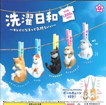 即決》洗濯日和 キレイになるって気持ちいい【全５種フルコンプセット】 送料140円～ 新品未開封 みけ猫/カワウソ/うさぎ/ハムスター_画像1