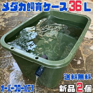 SALE★メダカ飼育ケース2個 緑３６Lオーバーフロー加工済★めだか容器産卵撮影ビオトープゾウリムシPSBミジンコ培養針子にどうぞ