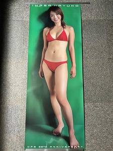 [ Iwasa Mayuko red bikini weekly Play Boy life-size poster 180cm×63cm]