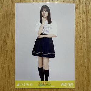 乃木坂46 柴田柚菜 真夏の全国ツアー2023 Tシャツ 東京ver. 生写真 ヒキ 1枚 検) 会場 限定 神宮