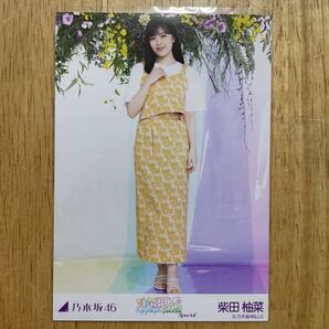 乃木坂46 柴田柚菜 真夏の全国ツアー2023 Special 生写真 ヒキ 1枚 検) 会場 限定 東京 神宮の画像1