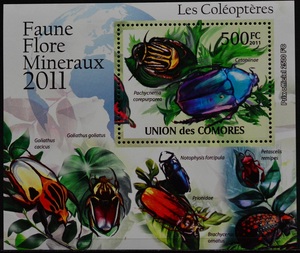 「TB135」コモロ諸島切手　2011年　昆虫
