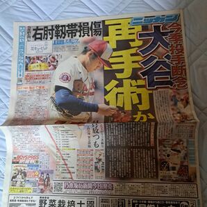 日刊スポーツ大谷翔平の右肘靭帯損傷号