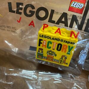 レゴランド　限定　ブロック　4個　LEGOLAND JAPAN lego レゴランドジャパン レゴブロック ファクトリー
