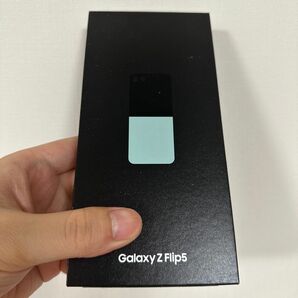 Galaxy Z Flip 5世代 5G ミント　香港版　256GB 即発送~~！！