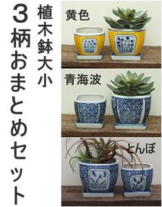 【3柄おまとめセット】植木鉢大小　黄色　青海波　蜻蛉　皿付　盆栽　多肉植物　サボテン　苔　植木鉢　和風