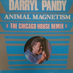 12インチ(輸入盤)/DARRYL PANDY〈ANIMAL MAGNETISM〉☆5点以上まとめて（送料0円）無料☆