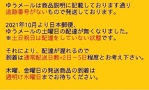 【HW31-26】【送料無料】パラッパ キーホルダー/パラッパラッパー PRPVCマスコットキーホルダー グッズ/※汚れ有_画像5