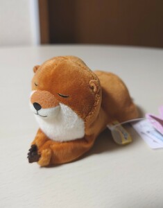 カワウソのおててでつかむぬいぐるみクリップ2 ライトブラウン すやすや 新品タグ付き プライズ限定品 非売品