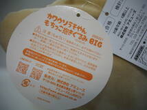 カワウソ うそやん もちっこ 抱きぐるみ BIG うそやん ぬいぐるみ クッション 抱き枕 体長：約５７cm カワウソ 獺 もっちりやん！_画像9