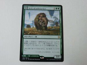 MTG 美品 【カザンドゥのマンモス】 （レア） ゼンディカーの夜明け ZNR 日 1枚迄