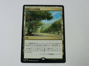 MTG 美品 【風変わりな果樹園】 （レア） 機械兵団の進軍 MOC 日 9枚迄