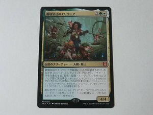 MTG 美品 【僻境宮廷のエリヴェア】 （神話レア） エルドレインの森 WOC 日 2枚迄