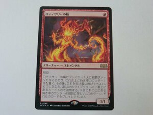 MTG 美品 【ロティサリーの精】 （レア） エルドレインの森 WOE 日 5枚迄