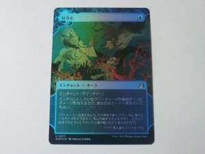 MTG 美品 【好奇心（FOIL）】 （アンコモン） エルドレインの森 WOT 日 2枚迄