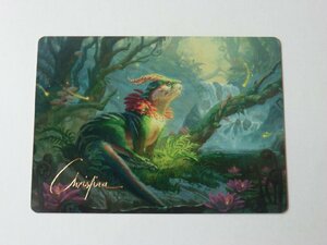 MTG 美品 【神出鬼没のカワウソ（37/81）】 （箔押しサイン入りアートカード） エルドレインの森 WOC 日 1枚迄