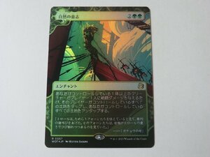 MTG 美品 【自然の意志（FOIL）】 （レア） エルドレインの森 WOT 日 1枚迄