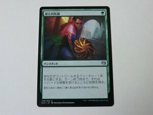 MTG 美品 【顕在的防御】 （アンコモン） KLD 日 6枚迄