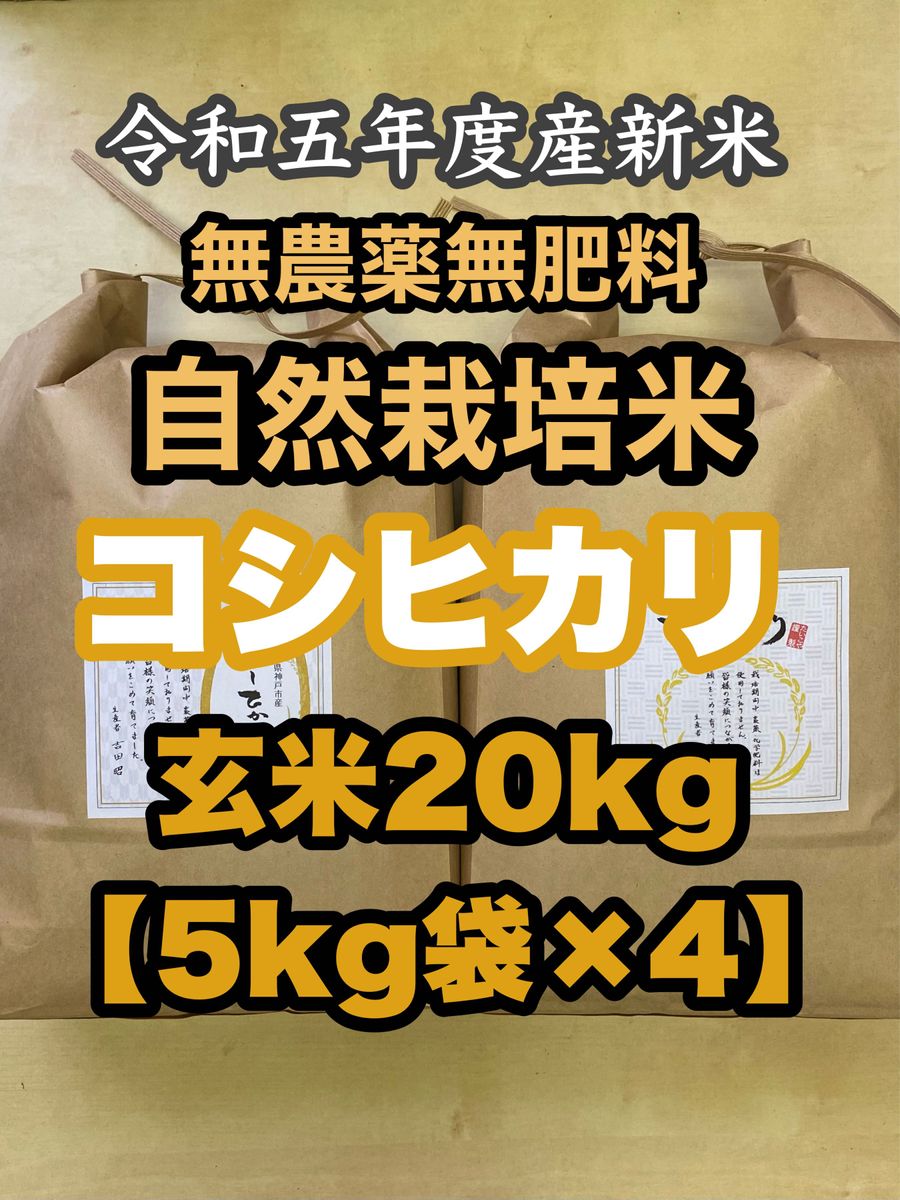 高食味 令和新米 我が家減農薬栽培 高知コシヒカリ 玄米