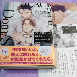 BL小説　ブラック社員の転生先はDom/Subユニバースの世界でした　栗城偲/篁ふみ