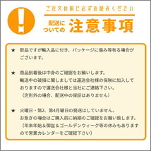 定型外 送料無料 汎用 ドアロックアクチュエーター 12V 2線 2本セット ドアロック キーレスなどに 流用 2本線 モーターガン_画像4