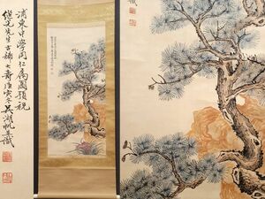 古びた蔵 中国書画 近代画家『呉湖帆 蒼松図 肉筆紙本』真作 掛け軸 書画立軸 巻き物 古美術