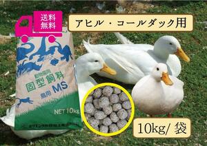 ◎送料無料・大特価 【アヒル・コールダック用飼料・ペレット】10kｇ　 水禽、エミュー、イグアナにも