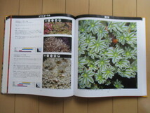 「コーラルズ CORALS A Quick Reference Guide 日本語版」 Julian Sprung　岩瀬文人　2006年　ブルーハーバー　/珊瑚/サンゴ/アクアリウム_画像6