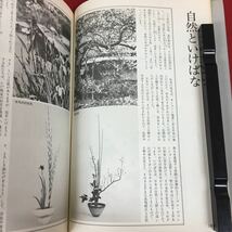 h-029 ※9 池坊生花入門 池坊入門シリーズ 著者 横山夢草 昭和52年5月10日 第2刷発行 講談社 生け花 入門 技術 知識 自然 構成 用語 趣味_画像7