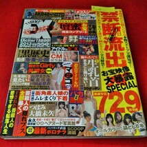 h-208　エキサイタータブー！EX　2013年SPRING号　壇蜜　長澤まさみ　堀北真希　戸田恵梨香　女子アナ　AKB48　ハロプロ　グラビア　※9 _画像1