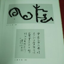 g-621 ※9 景象展2015 作品集 2015年11月30日 発行 北海道書人団 書道 北海道 小川東洲 石川玉舟 和泉星沙 梅木陽一 漢字 芸術_画像6